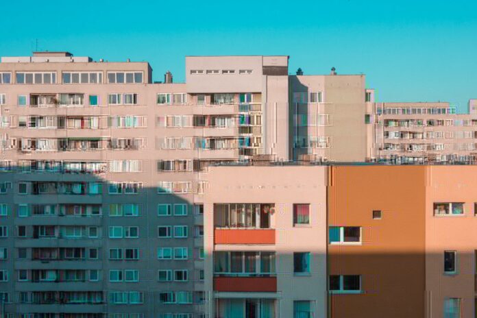 Jakie są zalety posiadania własnych ziół w domu?