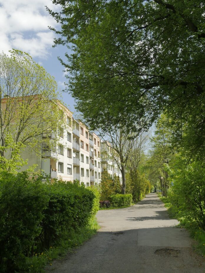 Porady dotyczące aranżacji przestrzeni w domowym ogrodzie