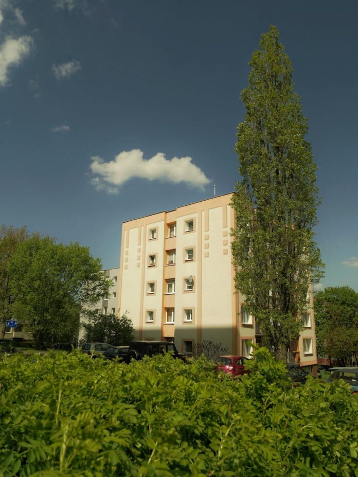 Jakie są najlepsze praktyki w zakresie lokalnego marketingu?